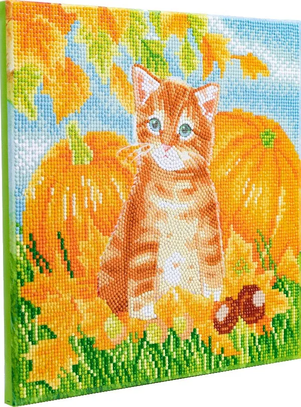 CAK-A179M: "Autumn Cat" 30x30cm Crystal Art Kit